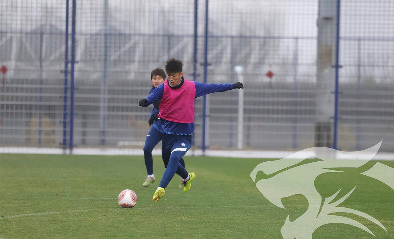 武汉三镇迎全明星赛关键赛，窗口期再遭质疑，引发热议，纪律约束更严格的简单介绍-AYX SPORTS